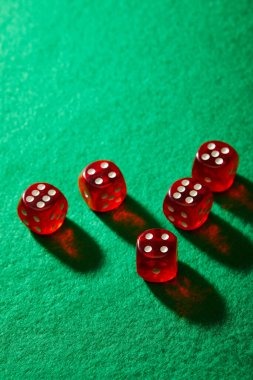 gobertoto login live-dealer studio with professional croupiers and HD cameras